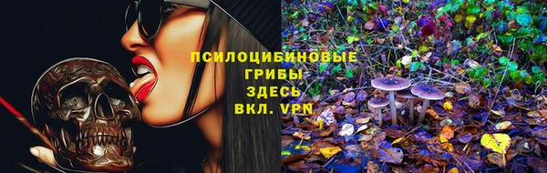 ECSTASY Красноперекопск