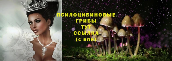 скорость Коряжма